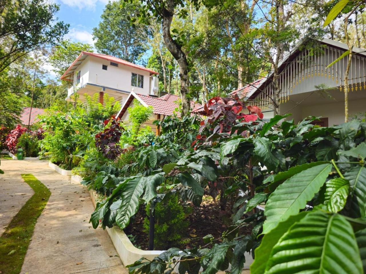 Coorg Orange Blossom Resort And Spa Suntikoppa Exterior foto