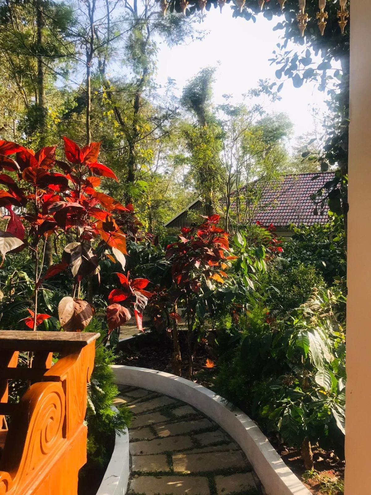 Coorg Orange Blossom Resort And Spa Suntikoppa Exterior foto